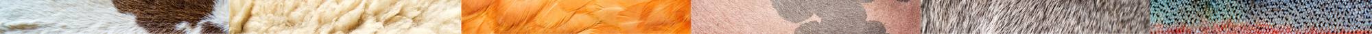 separateur_texture_animaux