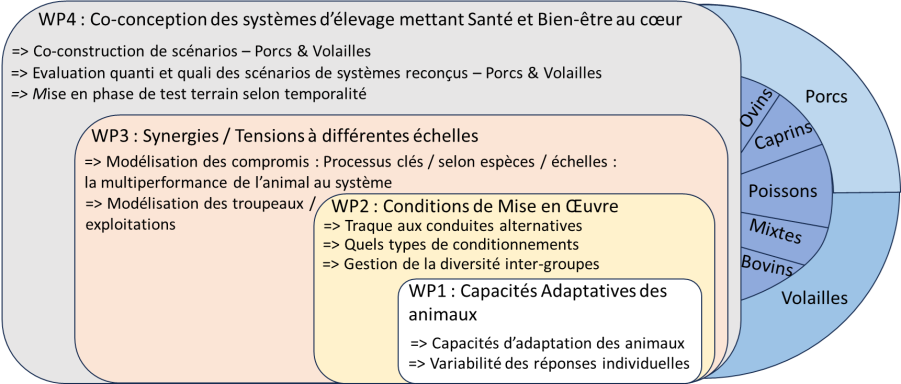 structuration_PC1_ED.png structuration_PC1_ED.png