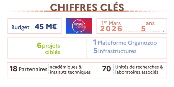 chiffres cl&eacute;s du PEPR Elevages Durables
